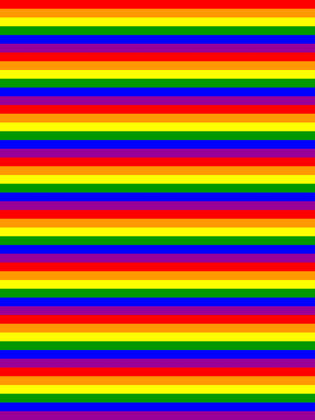 65 MCMLXV LGBT Gay Pride Rainbow Flag Stripe