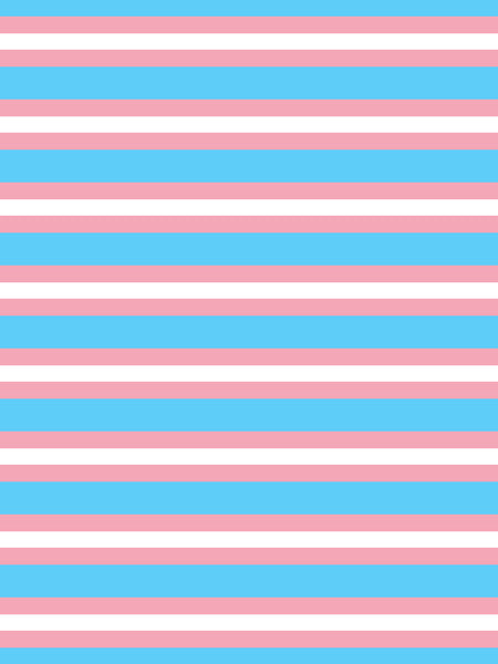 65 MCMLXV LGBT Trandgender Flag