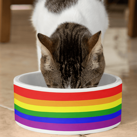 Rainbow Flag Pet Bundle - 65mcmlxv