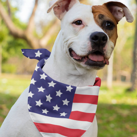 65 MCMLXV Americana USA Flag Print Pet Bandana - 65mcmlxv