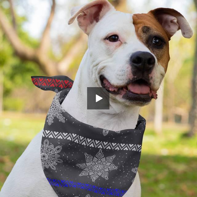 65 MCMLXV Black Christmas Snowflake Stripe Pet Bandana - 65mcmlxv