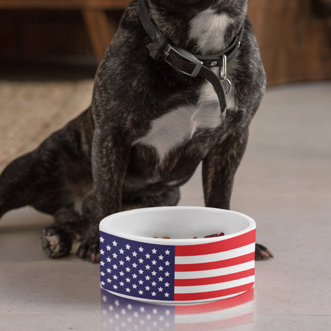 Dog Bowls - 65 MCMLXV USA American Flag Print Dishwasher Safe Ceramic Pet Bowl