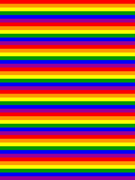 65 MCMLXV LGBT Gay Pride Rainbow Flag Stripe