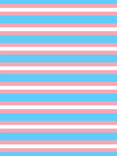 65 MCMLXV LGBT Trandgender Flag