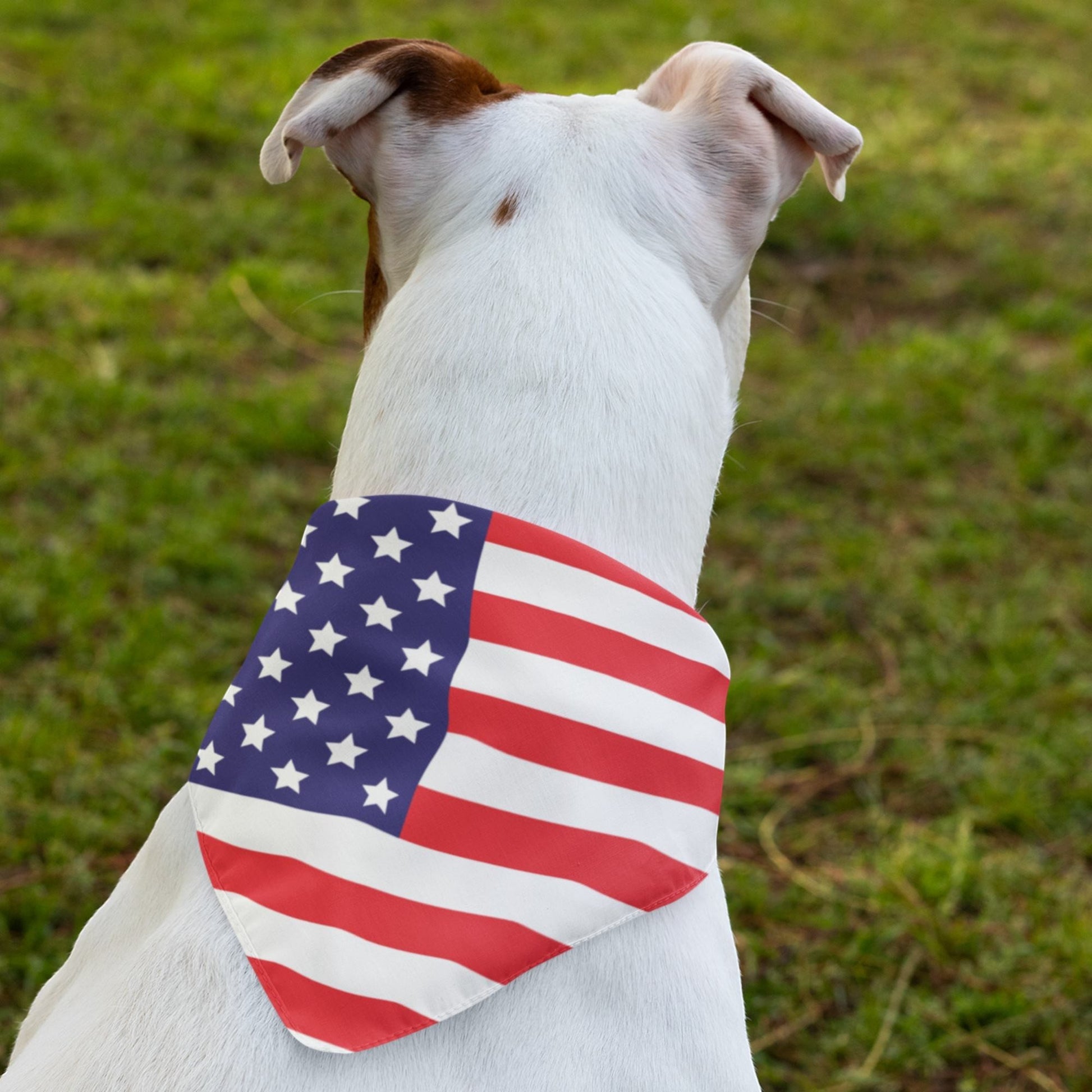 65 MCMLXV Americana USA Flag Print Pet Bandana - 65mcmlxv