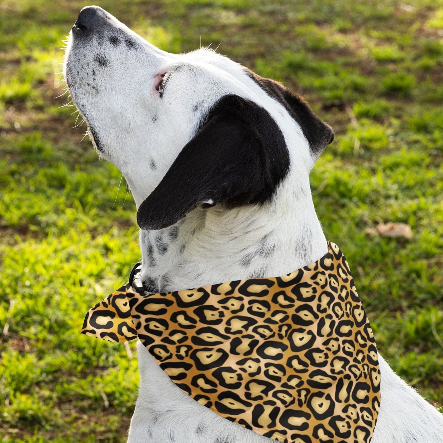 65 MCMLXV Jaguar Print Pet Bandana - 65mcmlxv