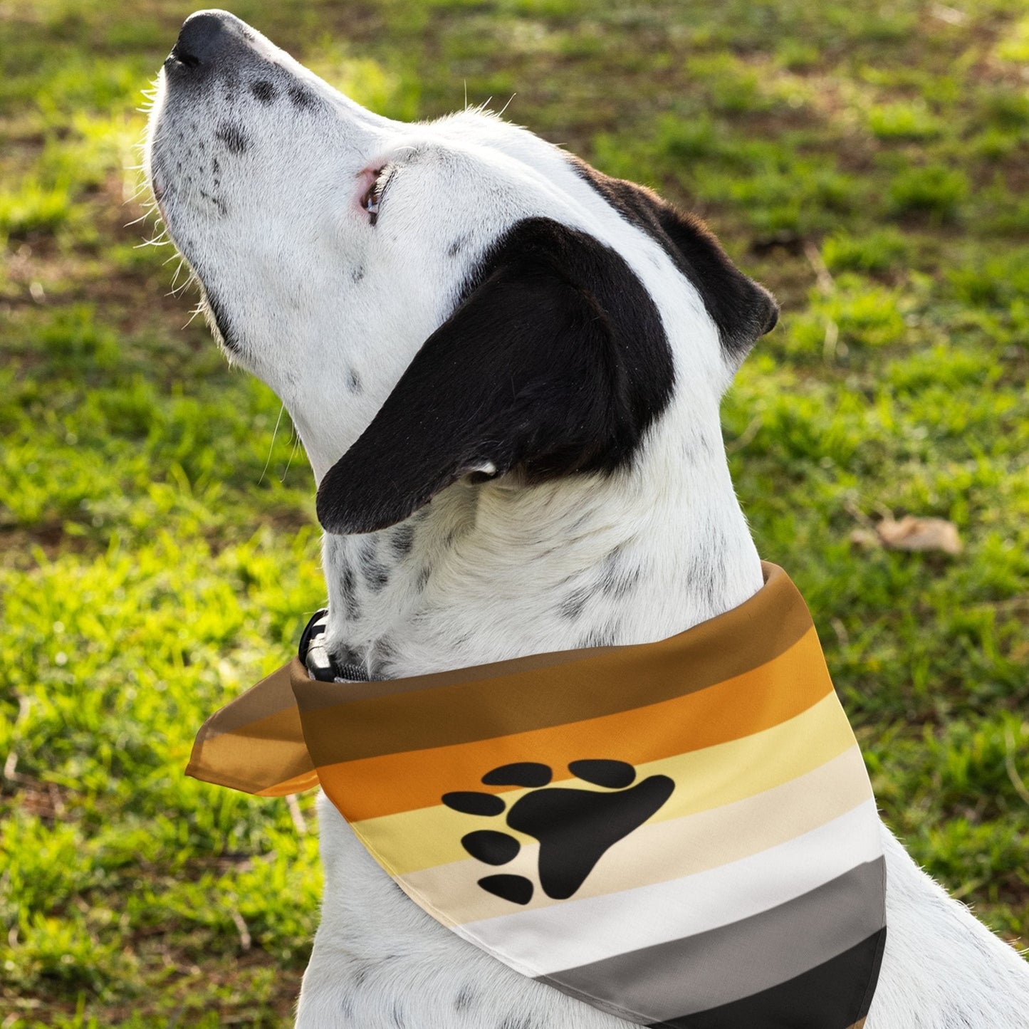 65 MCMLXV LGBT Bear Pride Flag Print Pet Bandana - 65mcmlxv