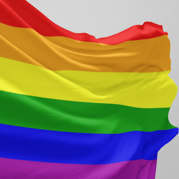 65 MCMLXV LGBT Gay Pride Rainbow Flag 34.5 x 56 - 65mcmlxv