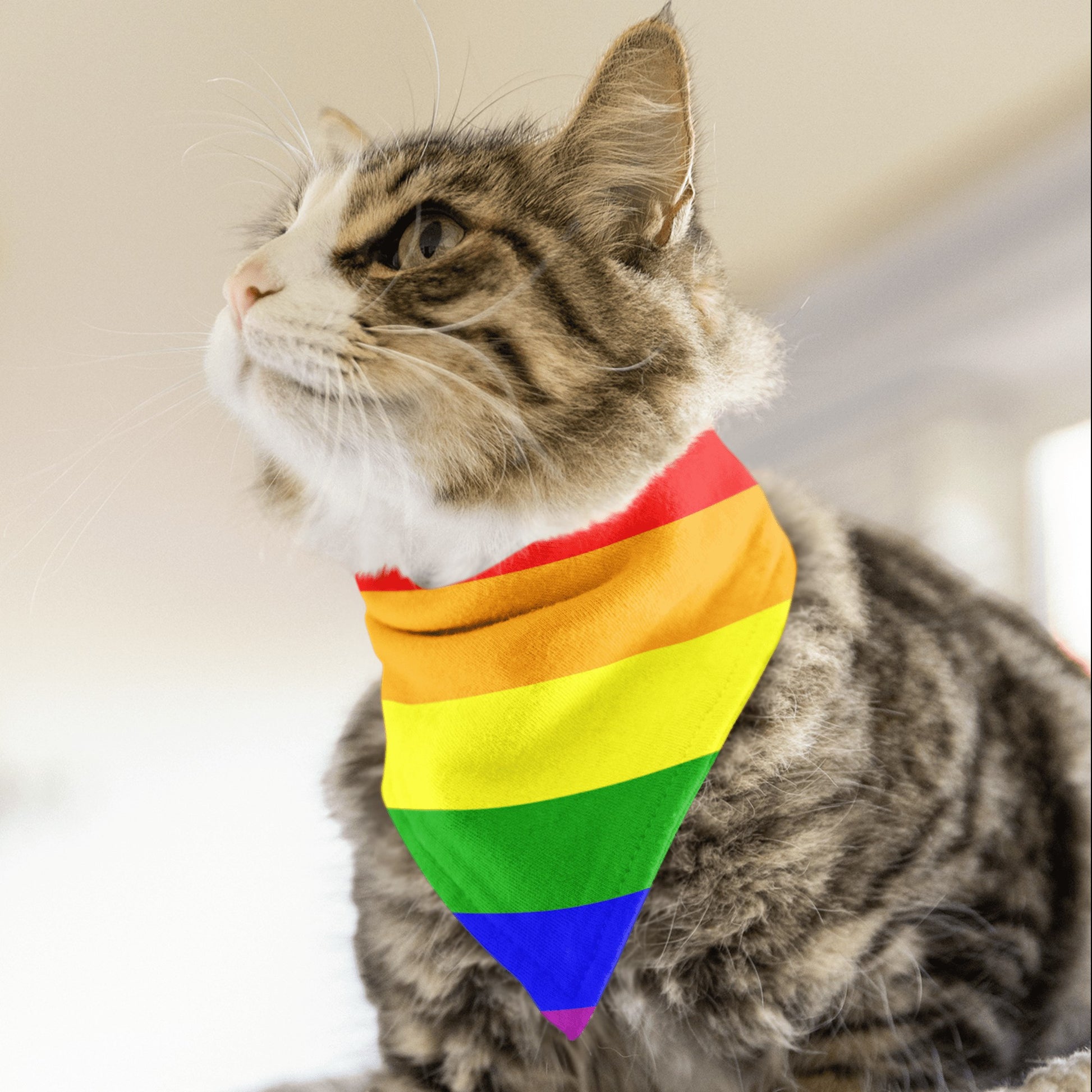 65 MCMLXV LGBT Gay Pride Rainbow Flag Print Pet Bandana Handkerchief 24x24 - 65mcmlxv