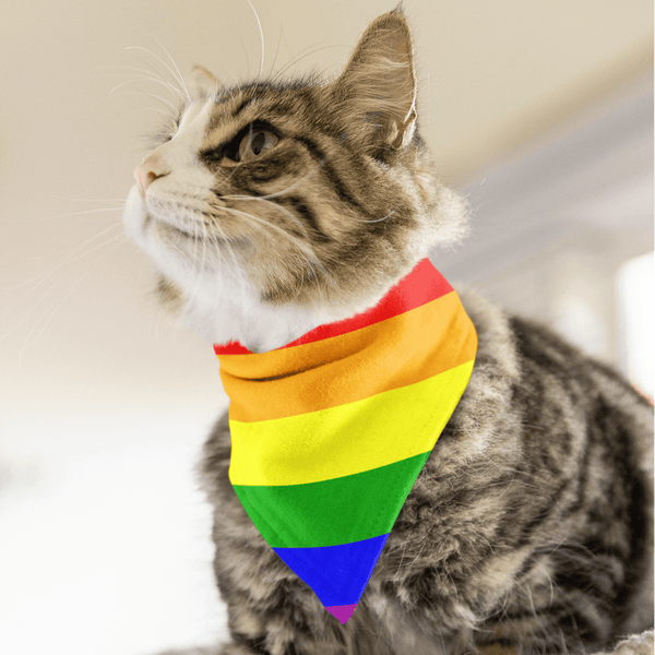 65 MCMLXV LGBT Gay Pride Rainbow Flag Print Pet Bandana Handkerchief 24x24 - 65mcmlxv