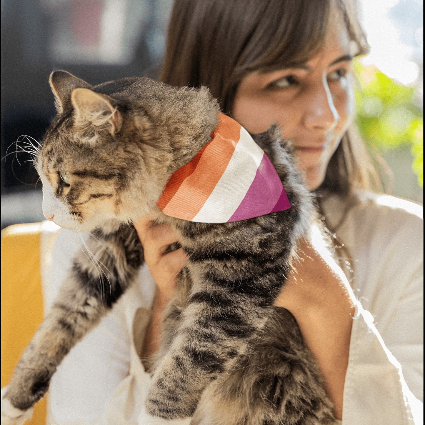 65 MCMLXV LGBT Lesbian Pride Sunset Flag Print Pet Bandana - 65mcmlxv