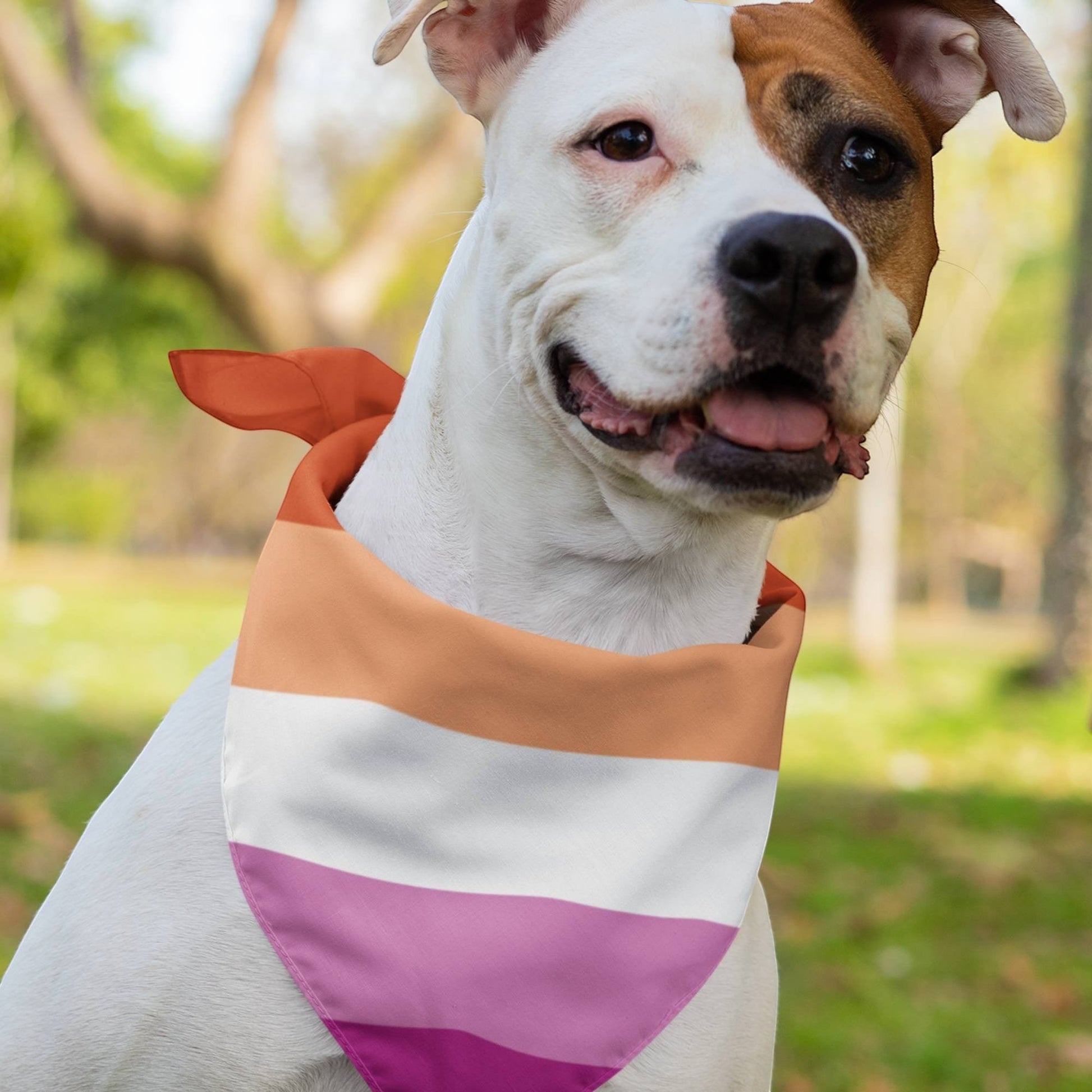 65 MCMLXV LGBT Lesbian Pride Sunset Flag Print Pet Bandana - 65mcmlxv