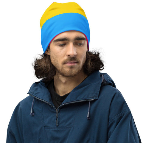 65 MCMLXV LGBT Pansexual Pride Flag Print Beanie Skullcap - 65mcmlxv
