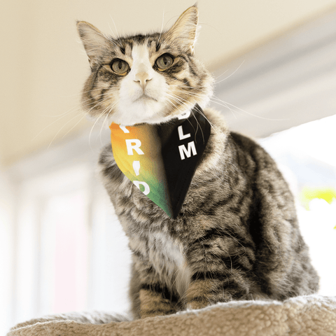65 MCMLXV LGBT Pride Black Lives Matter Print Pet Dog Bandana Handkerchief 24x24 - 65mcmlxv