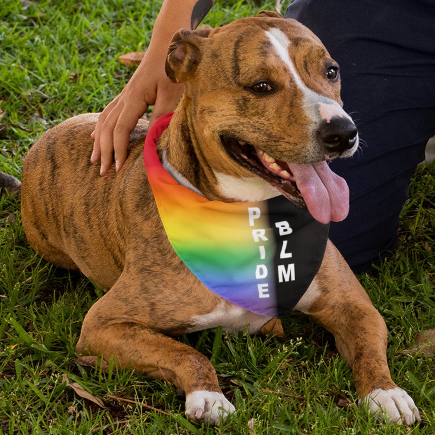 65 MCMLXV LGBT Pride Black Lives Matter Print Pet Dog Bandana Handkerchief 24x24 - 65mcmlxv
