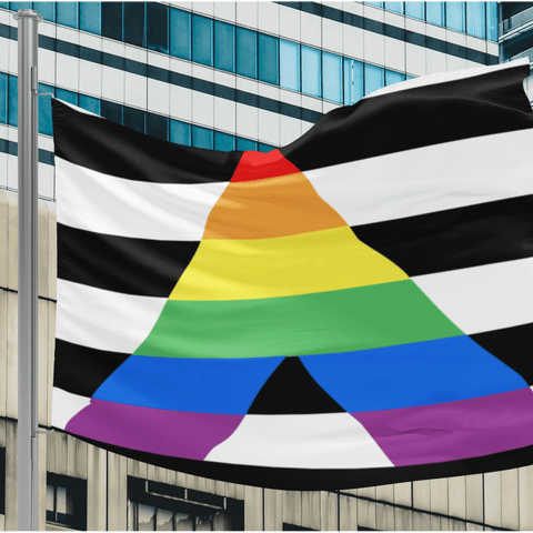 65 MCMLXV LGBT Straight Ally Flag 34.5 x 56 Wall Hanging - 65mcmlxv