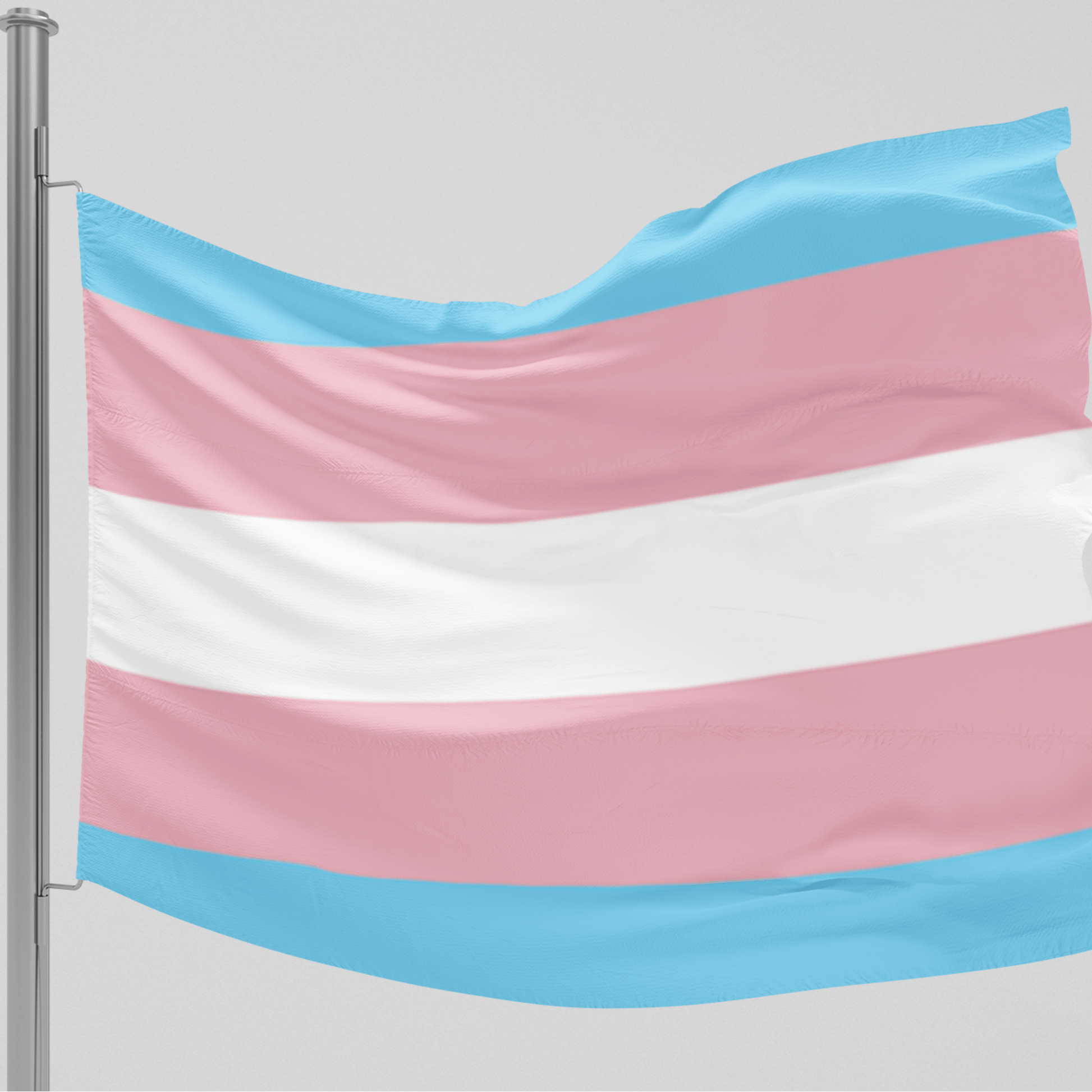 65 MCMLXV LGBT Transgender Pride Flag 5x3 feet - 65mcmlxv