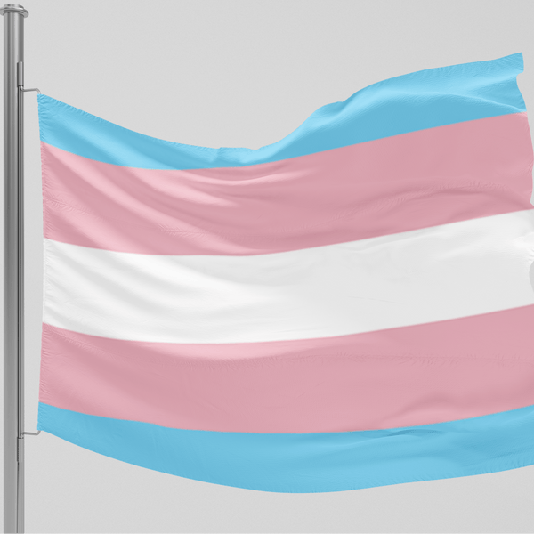 65 MCMLXV LGBT Transgender Pride Flag 5x3 feet - 65mcmlxv