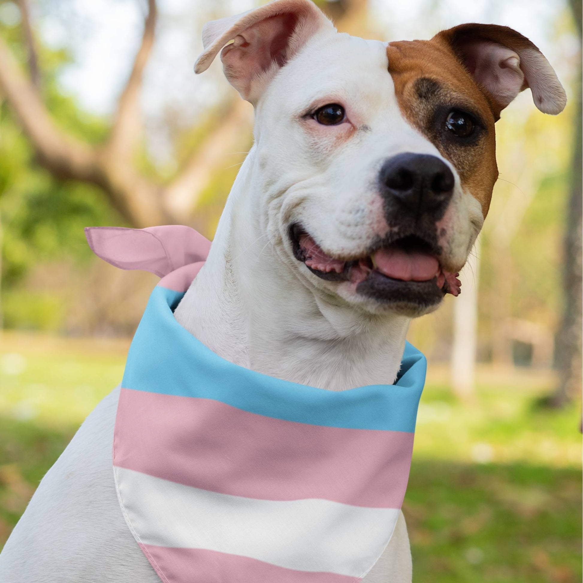 65 MCMLXV LGBT Transgender Pride Flag Print Pet Dog Bandana - 65mcmlxv