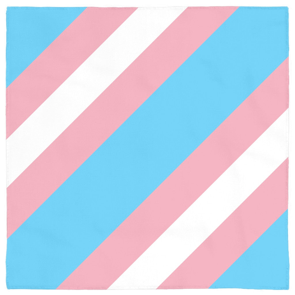 65 MCMLXV LGBT Transgender Pride Flag Print Pet Dog Bandana - 65mcmlxv