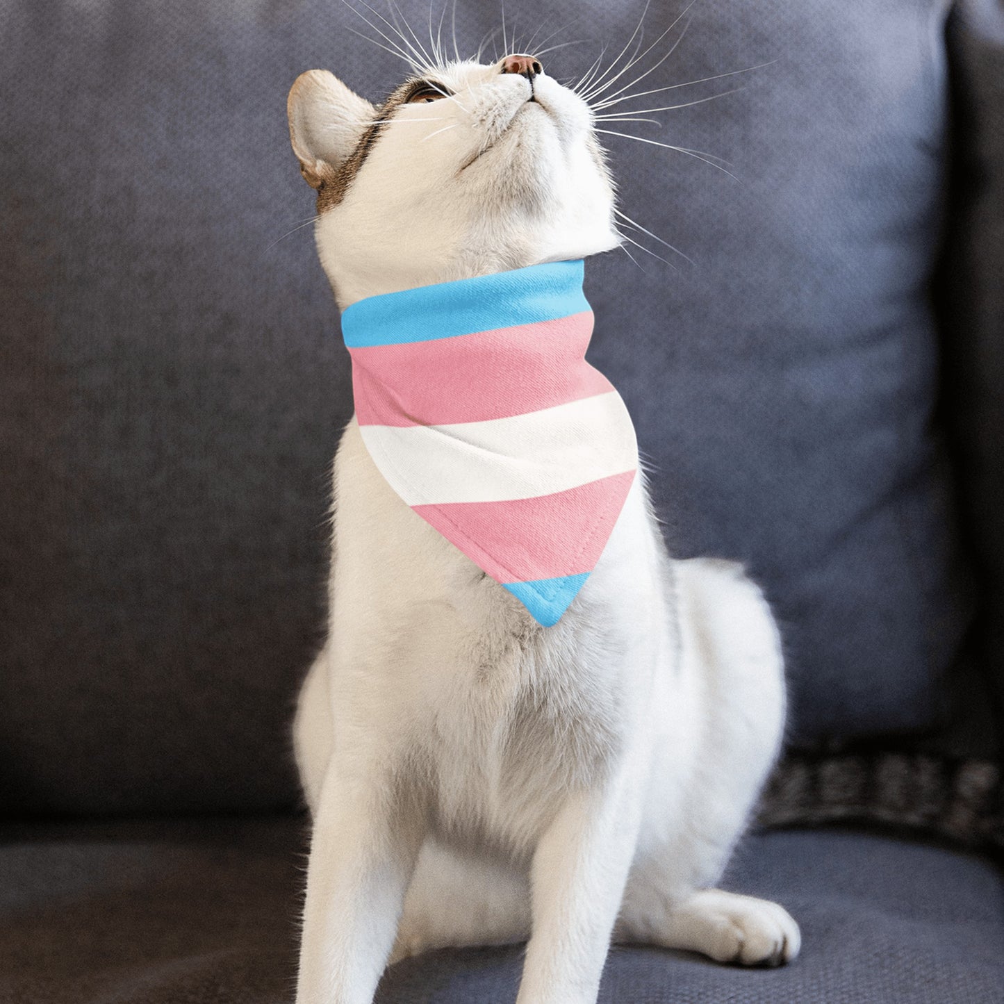 65 MCMLXV LGBT Transgender Pride Flag Print Pet Dog Bandana - 65mcmlxv