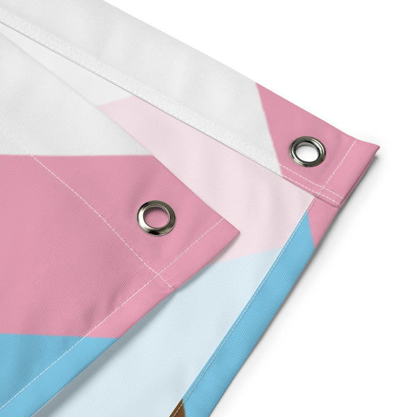 65 MCMLXV LGBTQIA Pride Progress Flag 34.5 x 56 Wall Hanging - 65mcmlxv