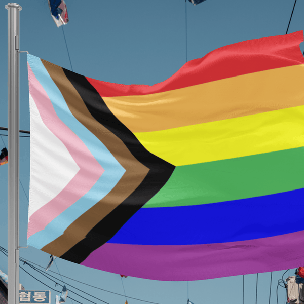 65 MCMLXV LGBTQIA Pride Progress Flag 34.5 x 56 Wall Hanging - 65mcmlxv