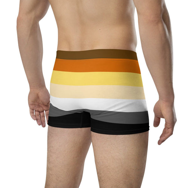65 MCMLXV Mens LGBT Bear Pride Flag Boxer Briefs Underwear - 65mcmlxv