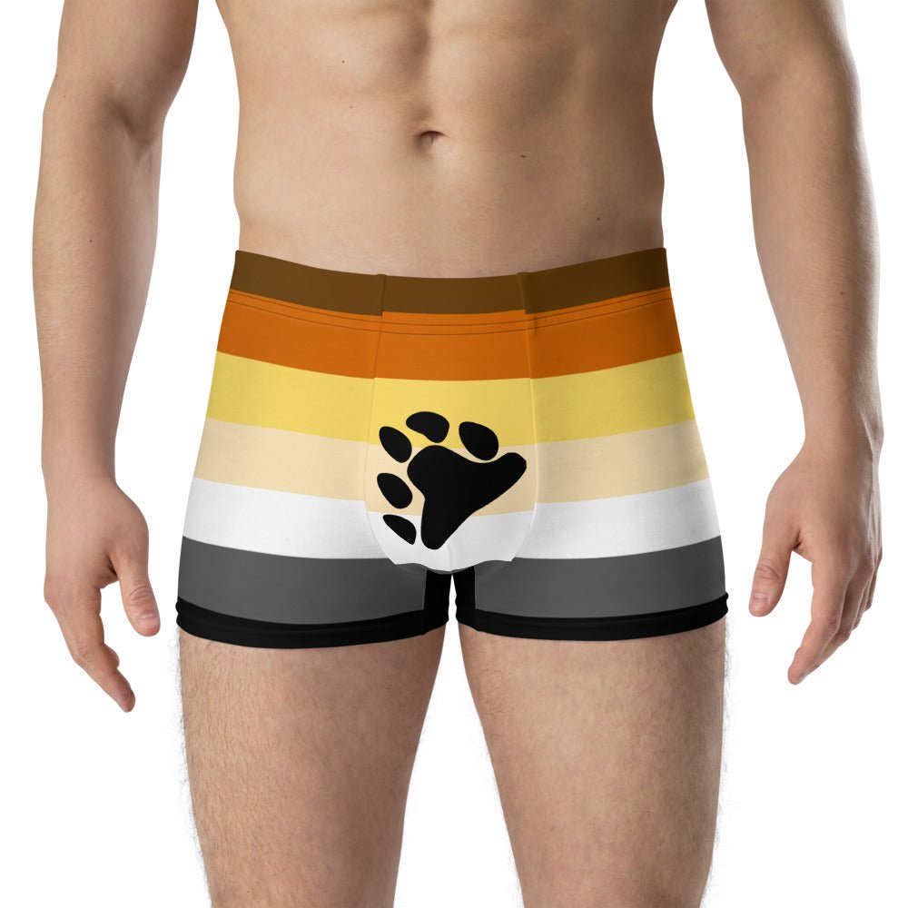 65 MCMLXV Mens LGBT Bear Pride Flag Boxer Briefs Underwear - 65mcmlxv