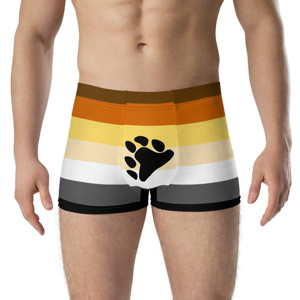 65 MCMLXV Mens LGBT Bear Pride Flag Boxer Briefs Underwear - 65mcmlxv