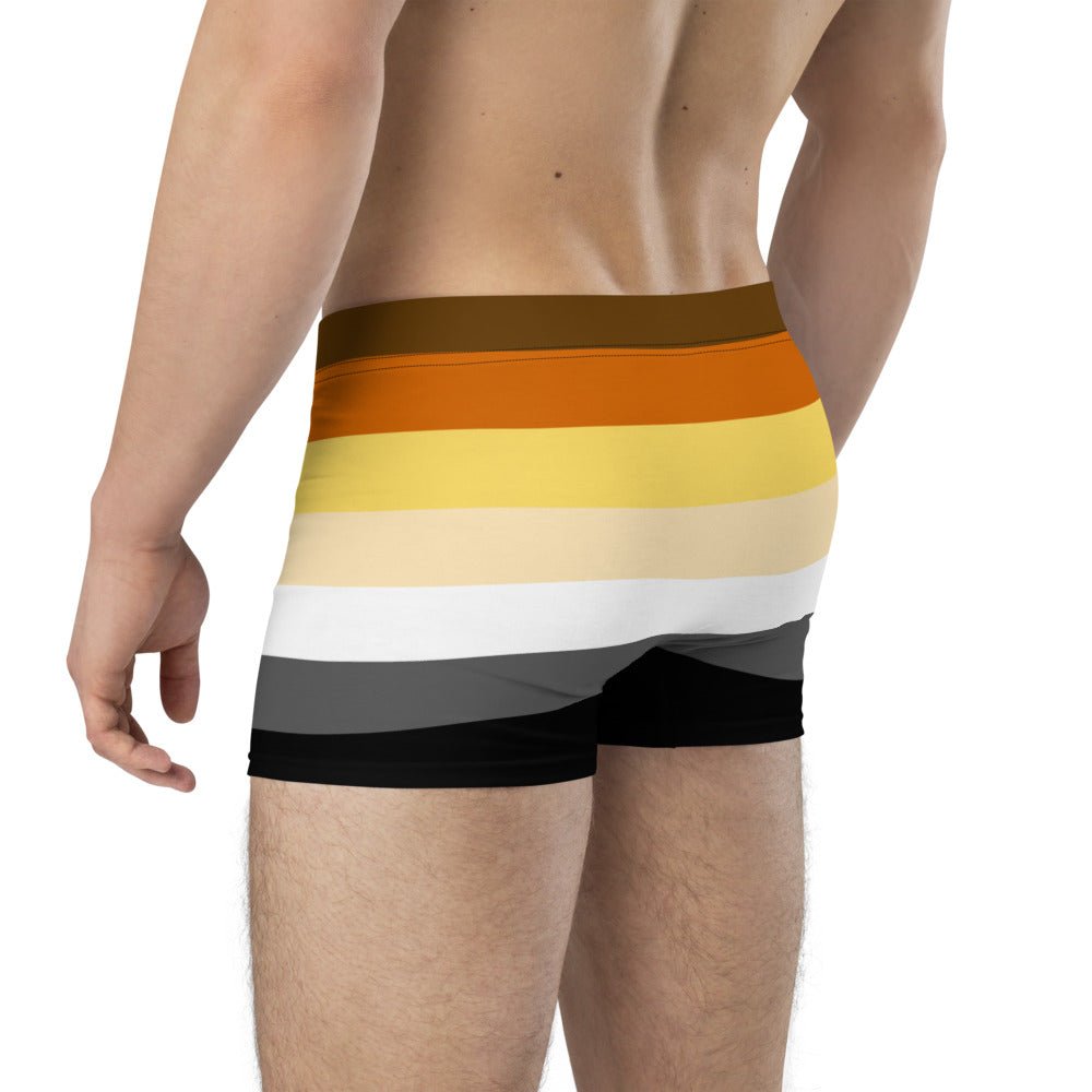 65 MCMLXV Mens LGBT Bear Pride Flag Boxer Briefs Underwear - 65mcmlxv
