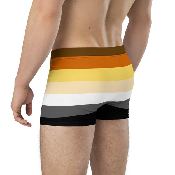 65 MCMLXV Mens LGBT Bear Pride Flag Boxer Briefs Underwear - 65mcmlxv