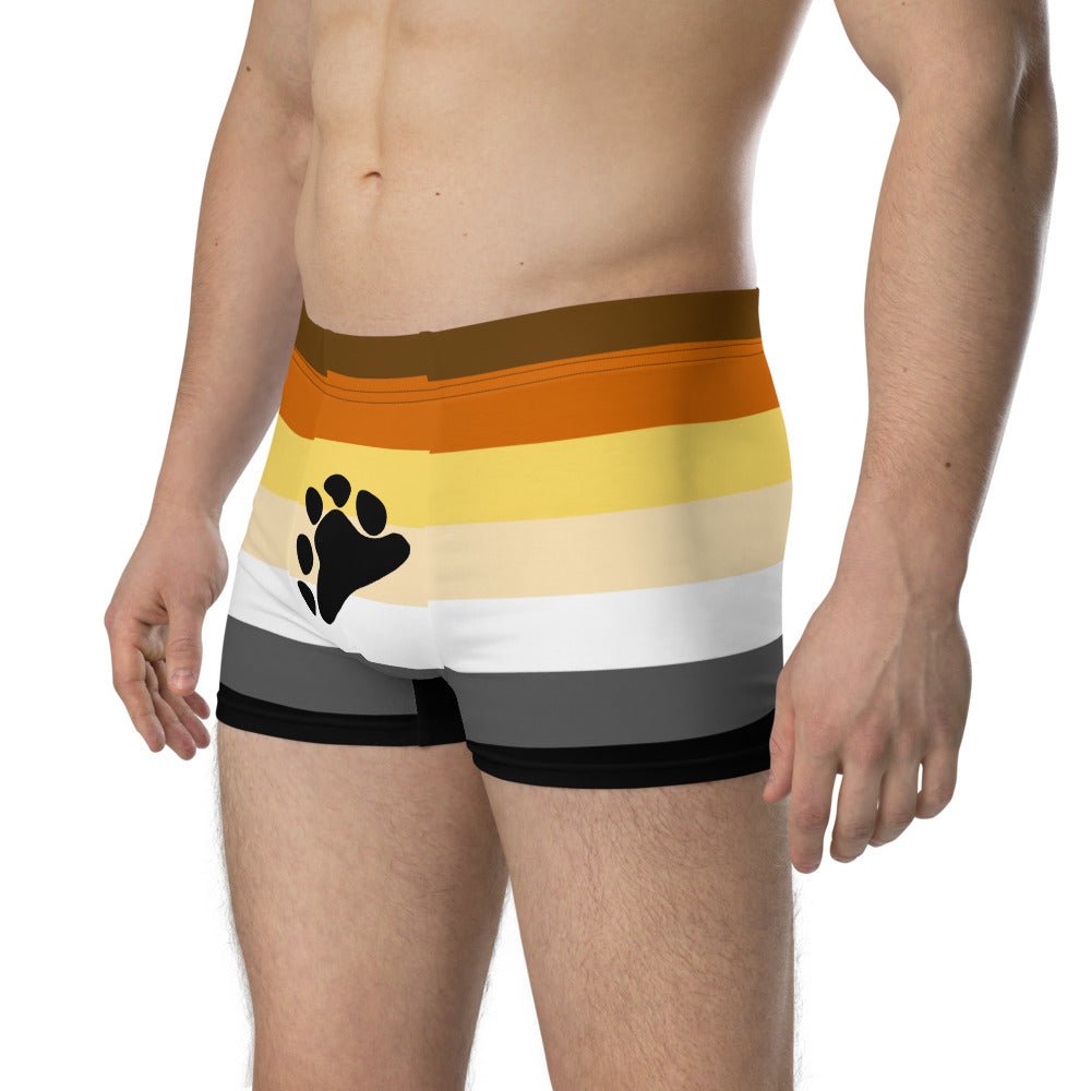 65 MCMLXV Mens LGBT Bear Pride Flag Boxer Briefs Underwear - 65mcmlxv