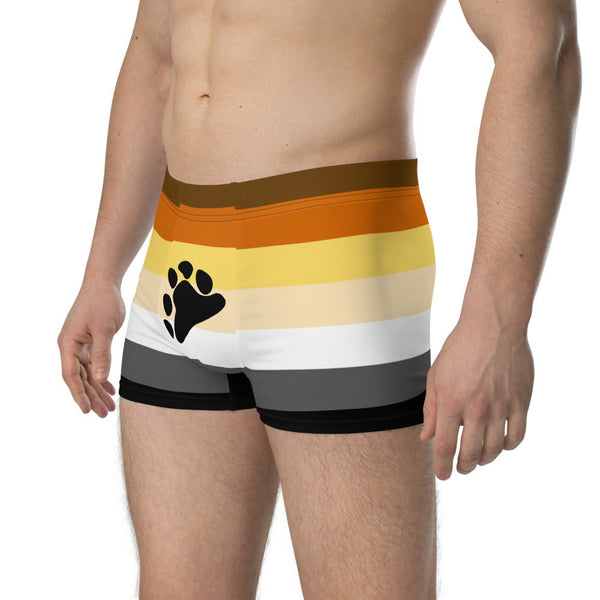 65 MCMLXV Mens LGBT Bear Pride Flag Boxer Briefs Underwear - 65mcmlxv