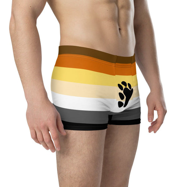 65 MCMLXV Mens LGBT Bear Pride Flag Boxer Briefs Underwear - 65mcmlxv