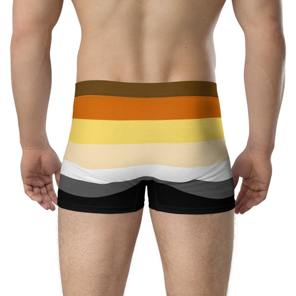 65 MCMLXV Mens LGBT Bear Pride Flag Boxer Briefs Underwear - 65mcmlxv