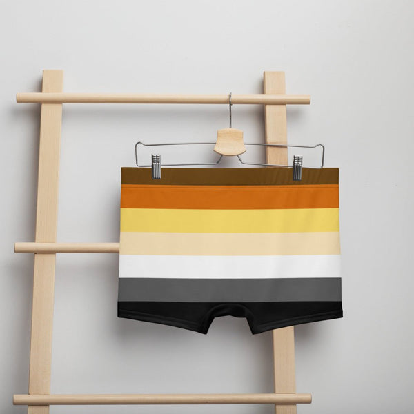 65 MCMLXV Mens LGBT Bear Pride Flag Boxer Briefs Underwear - 65mcmlxv