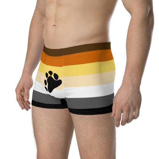 65 MCMLXV Mens LGBT Bear Pride Flag Boxer Briefs Underwear - 65mcmlxv