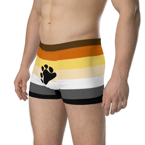 65 MCMLXV Mens LGBT Bear Pride Flag Boxer Briefs Underwear - 65mcmlxv