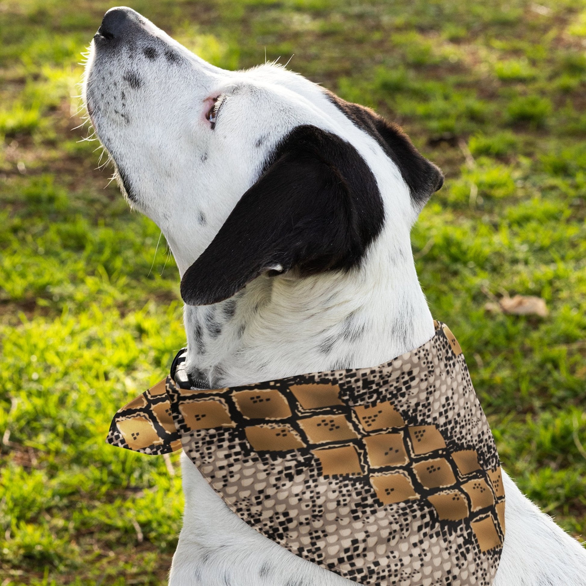 65 MCMLXV Snakeskin Print Pet Bandana - 65mcmlxv