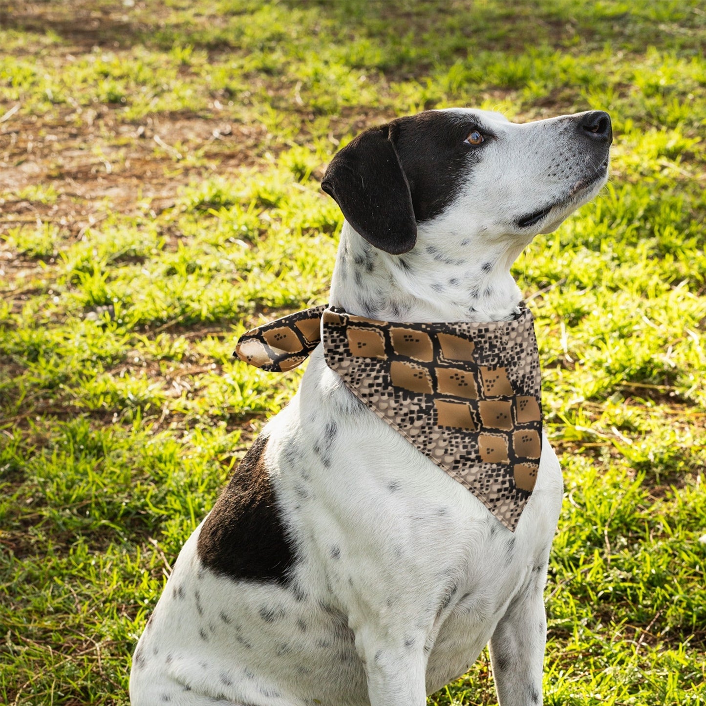 65 MCMLXV Snakeskin Print Pet Bandana - 65mcmlxv