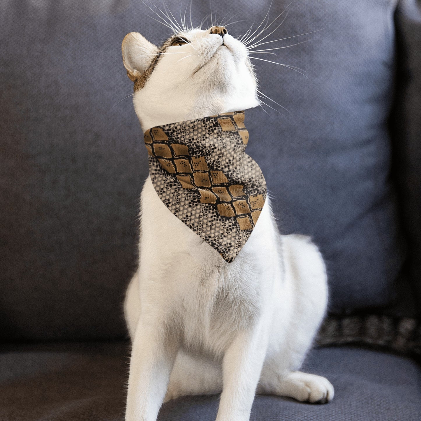 65 MCMLXV Snakeskin Print Pet Bandana - 65mcmlxv