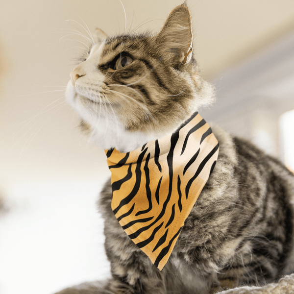 65 MCMLXV Tiger Print Pet Bandana - 65mcmlxv
