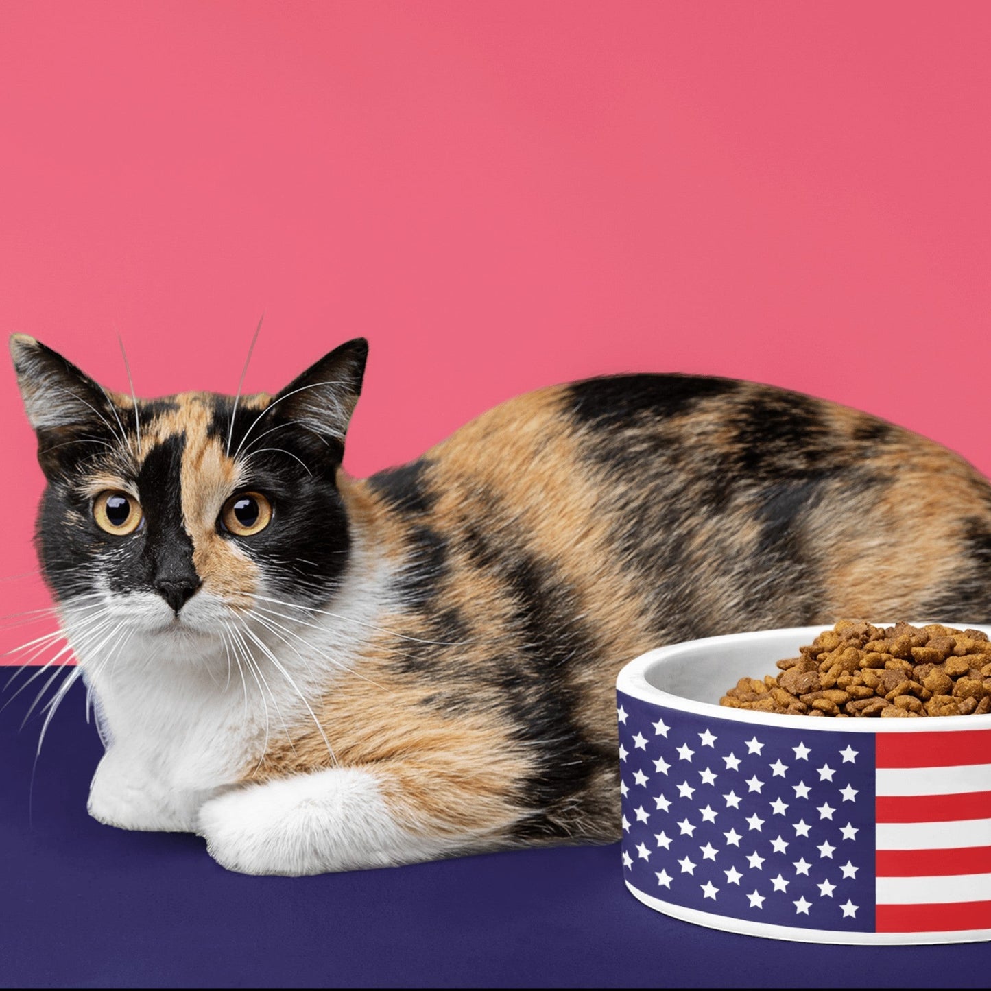 65 MCMLXV USA American Flag Print Dishwasher Safe Ceramic Pet Bowl - 65mcmlxv