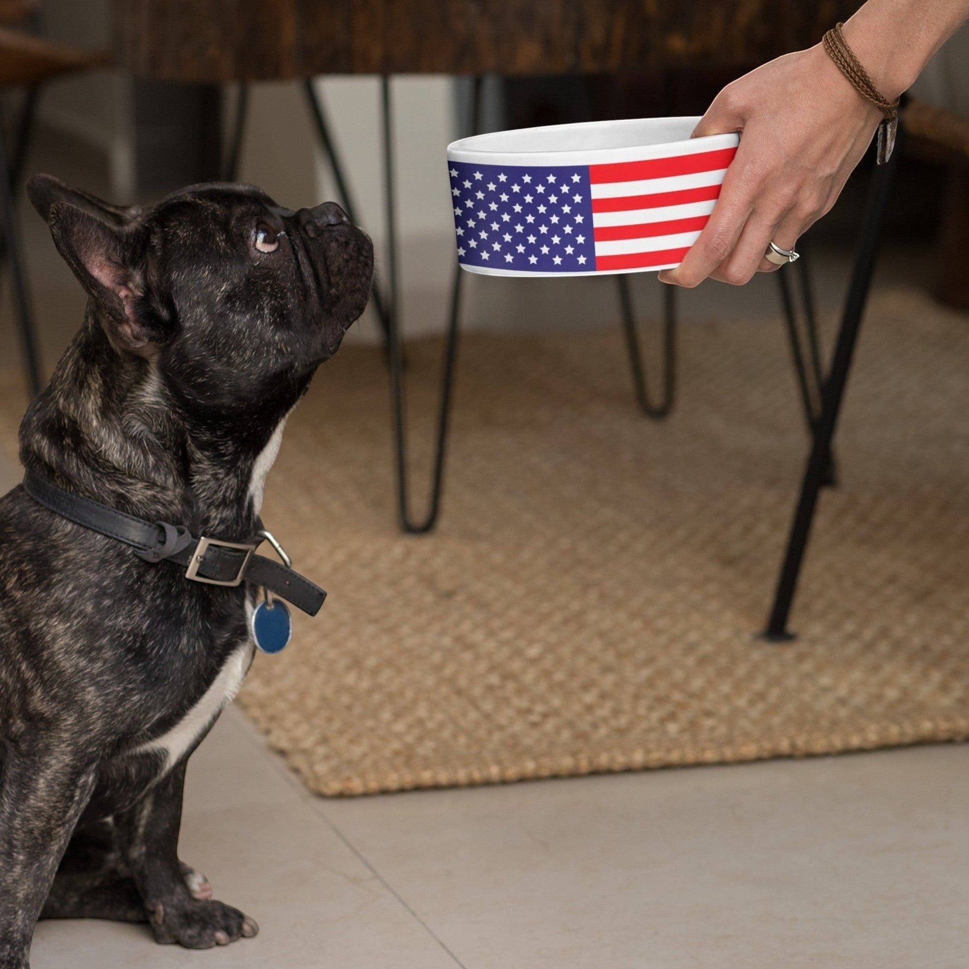 65 MCMLXV USA American Flag Print Dishwasher Safe Ceramic Pet Bowl - 65mcmlxv