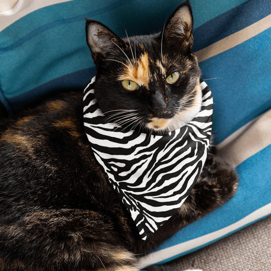 65 MCMLXV Zebra Print Pet Bandana - 65mcmlxv