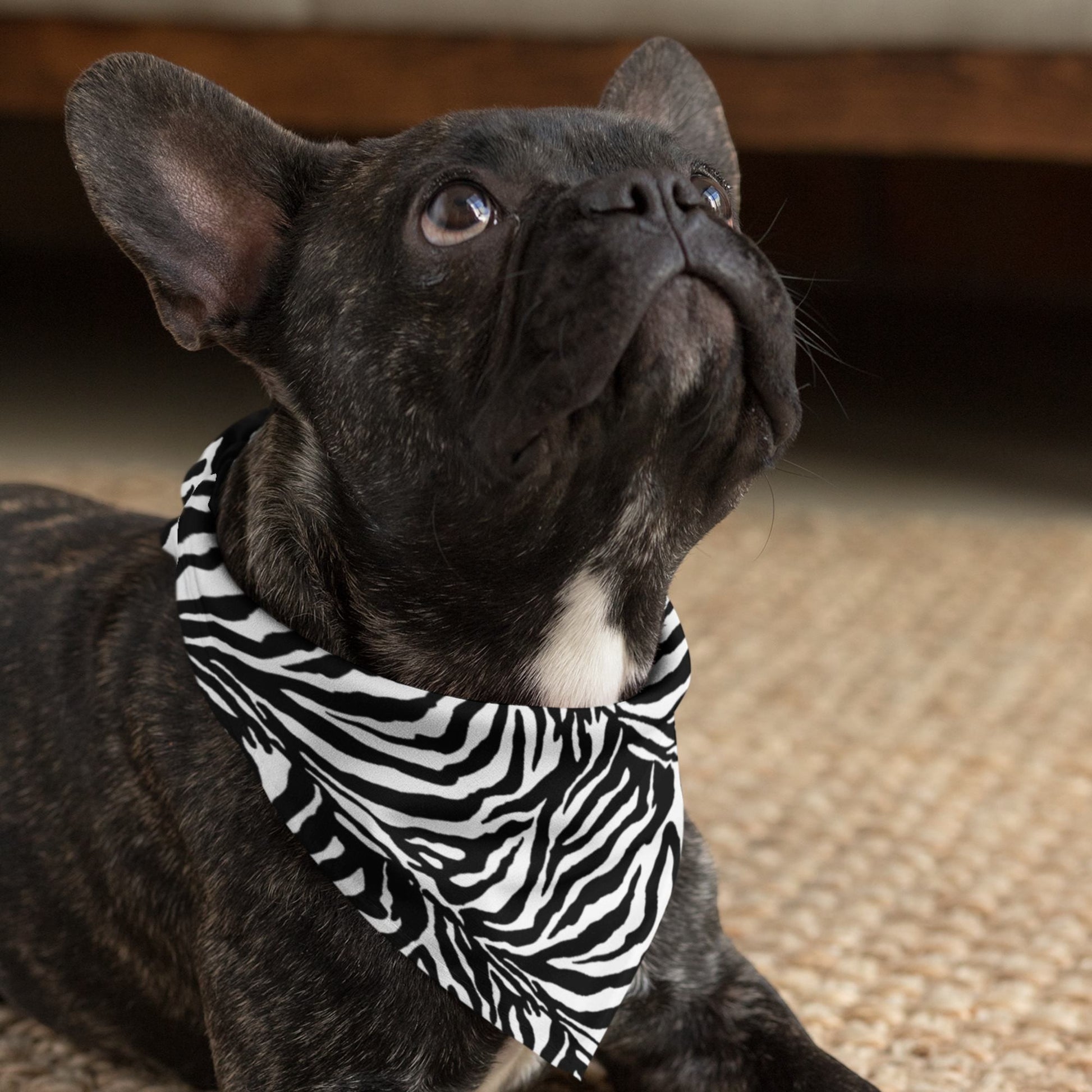 65 MCMLXV Zebra Print Pet Bandana - 65mcmlxv