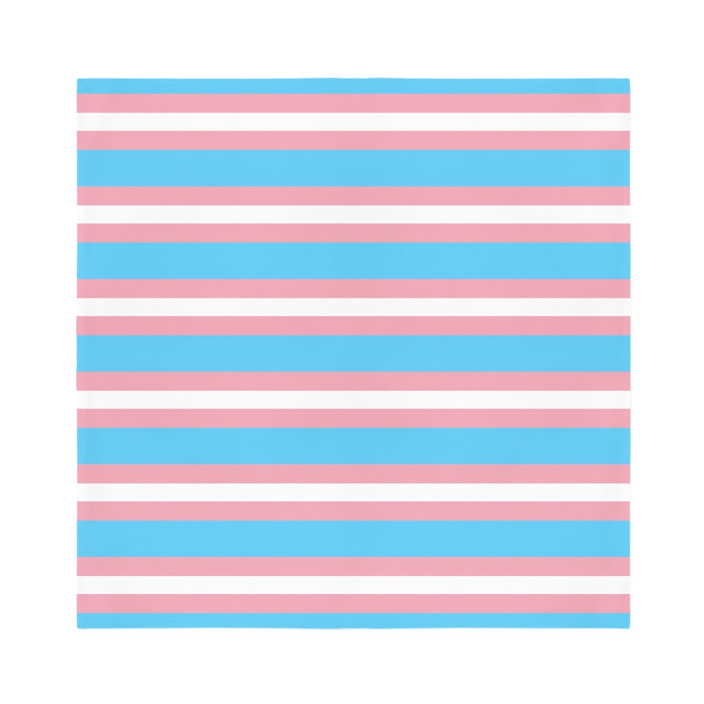65 MCMLXV LGBT Transgender Pride Flag Bandana 19.5x19.5