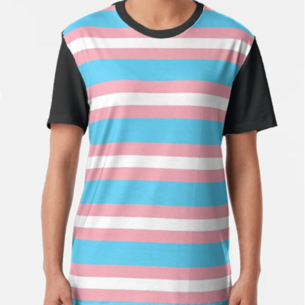 65 MCMLXV Unisex LGBT Transgender Pride Flag Panel T-Shirt