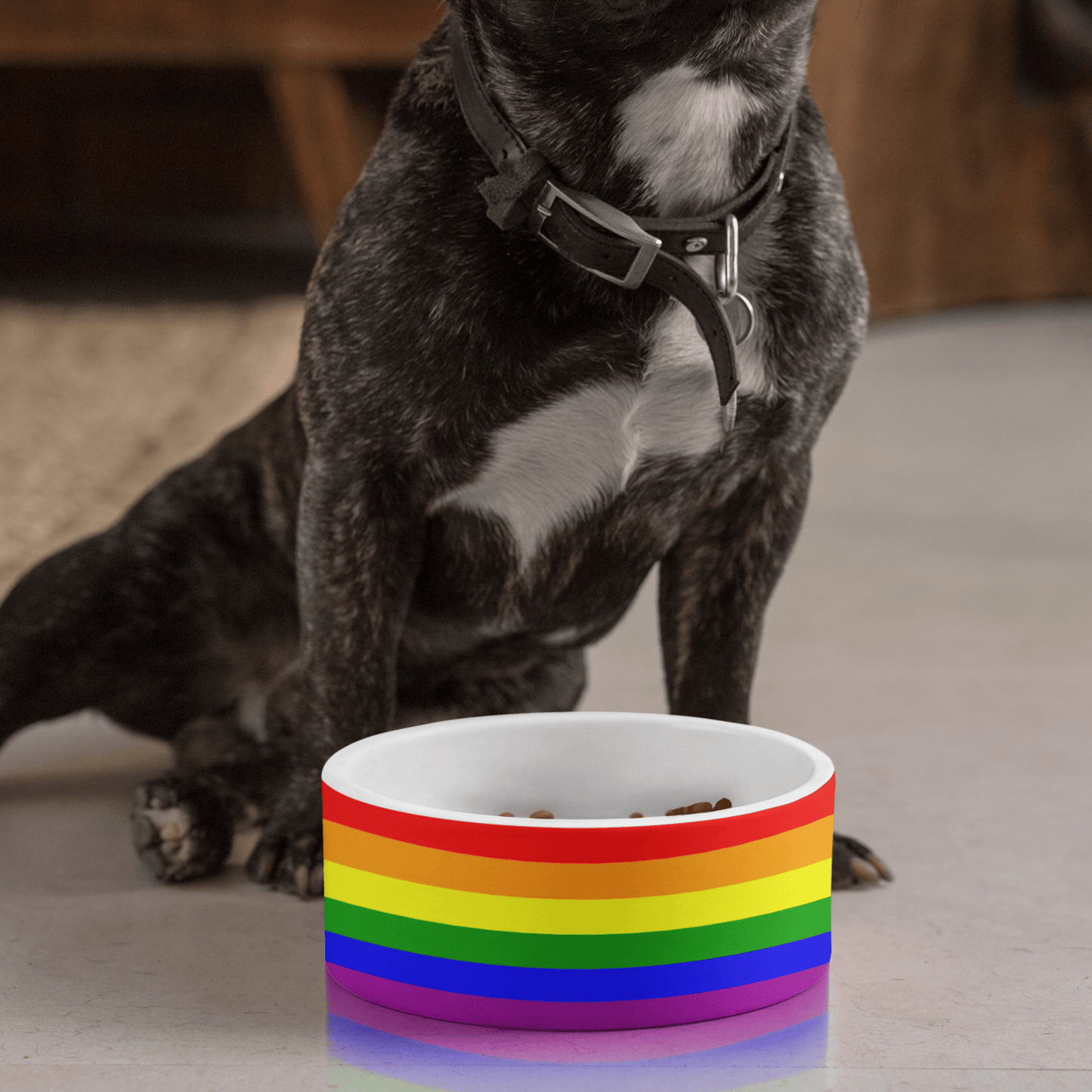 Rainbow Flag Pet Bundle - 65mcmlxv